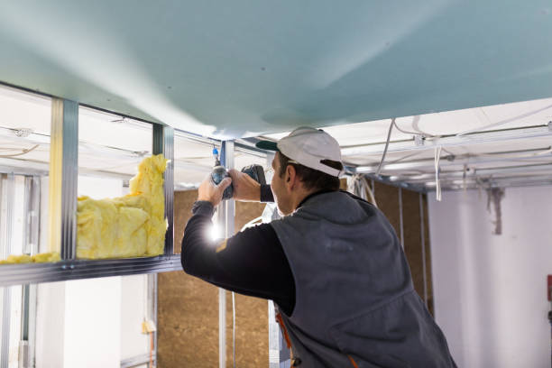 Best Blown-in Insulation in Leisure City, FL