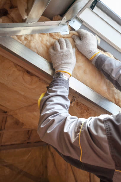 Types of Insulation We Offer in Leisure City, FL