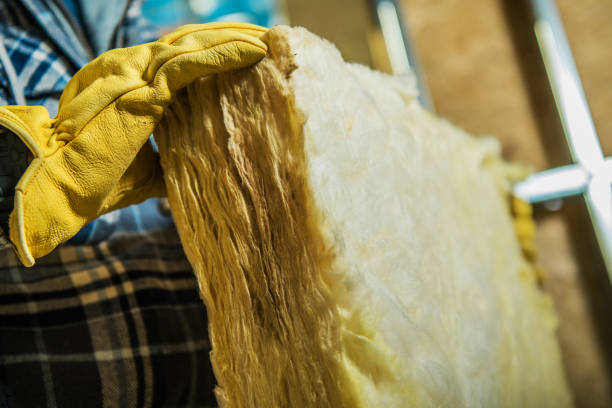 Best Specialized Insulation Services in Leisure City, FL